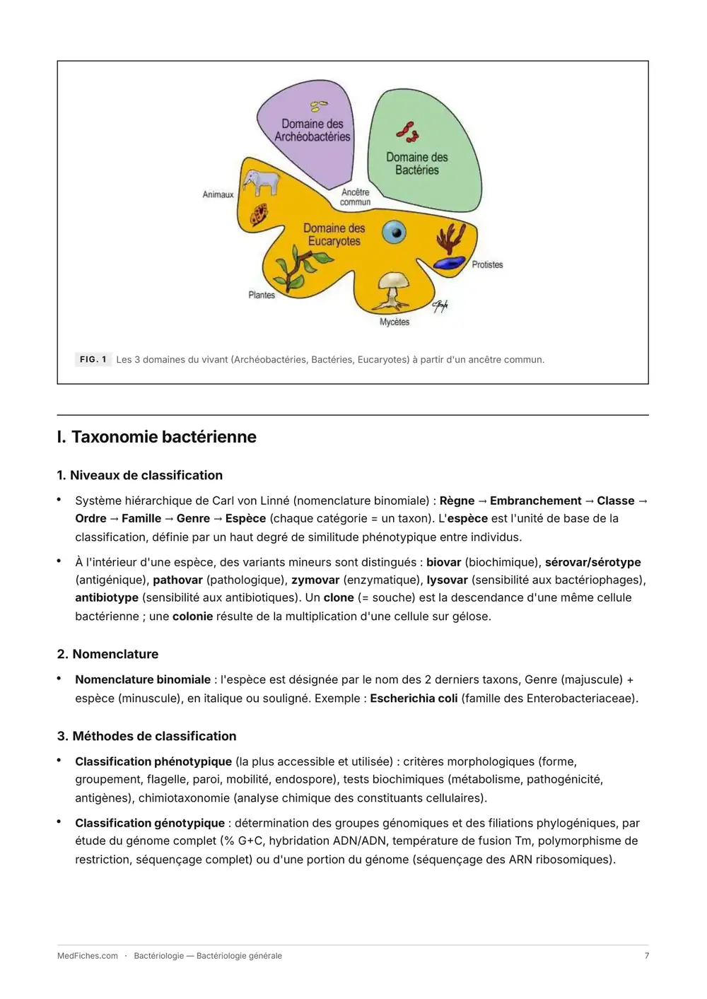 Bactériologie, Bactériologie générale, page 2