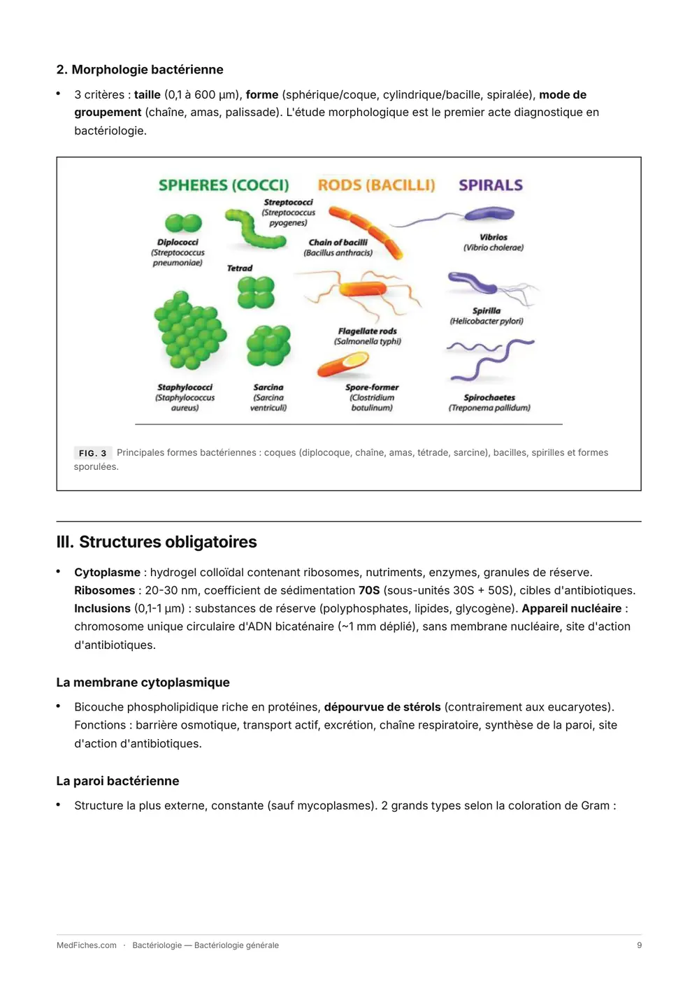Bactériologie, Bactériologie générale, page 4