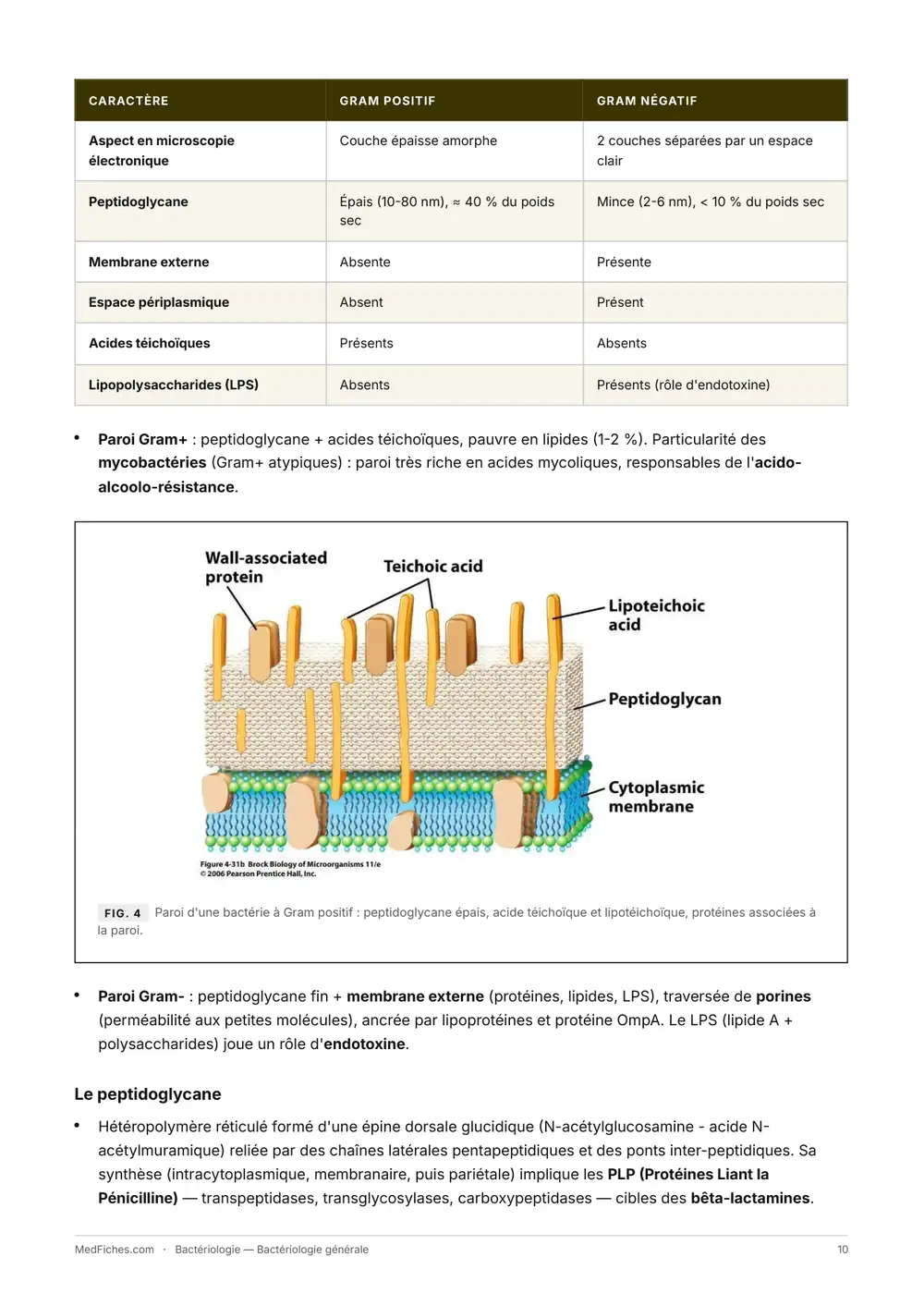 Bactériologie, Bactériologie générale, page 5