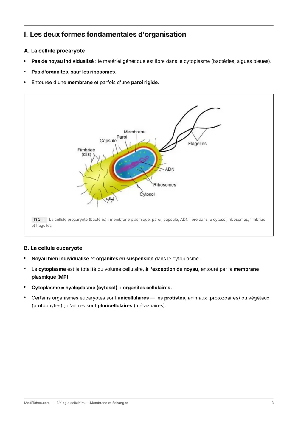 Biologie cellulaire, Membrane et échanges, page 3