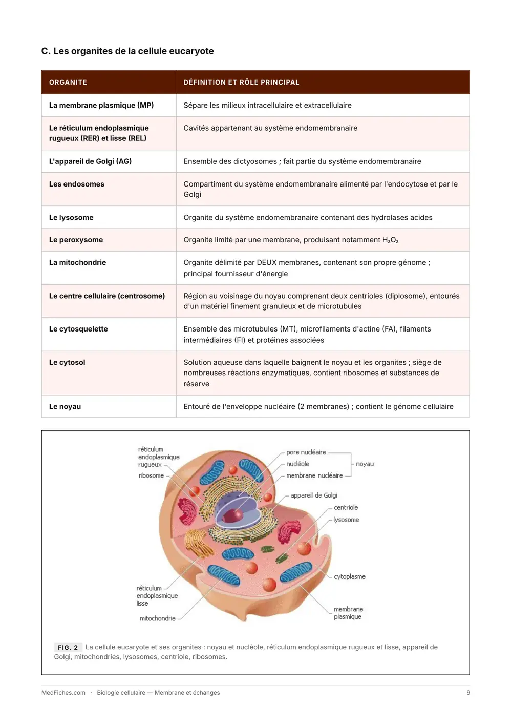 Biologie cellulaire, Membrane et échanges, page 4
