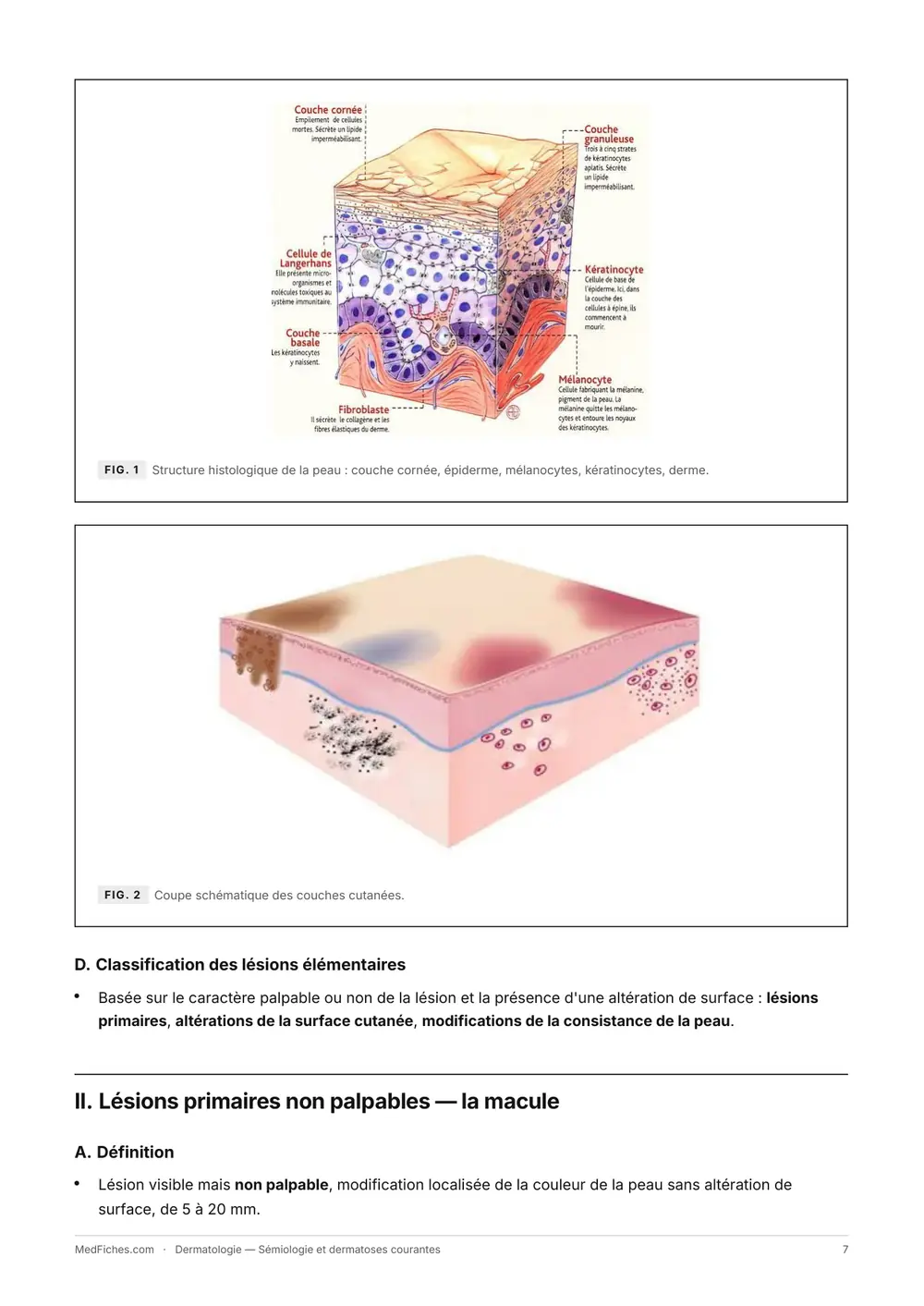 Dermatologie, Sémiologie et dermatoses courantes, page 3