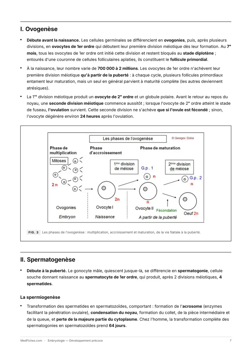 Embryologie, Développement précoce, page 3