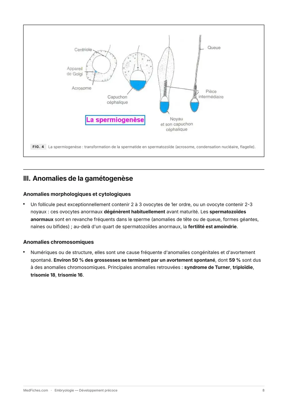 Embryologie, Développement précoce, page 4