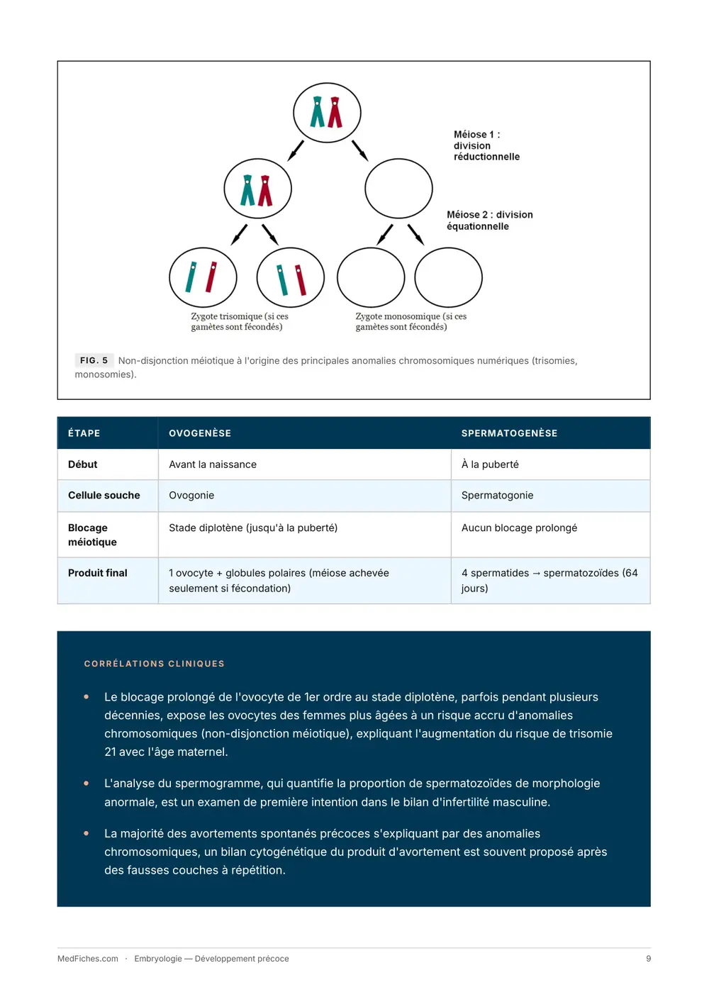 Embryologie, Développement précoce, page 5