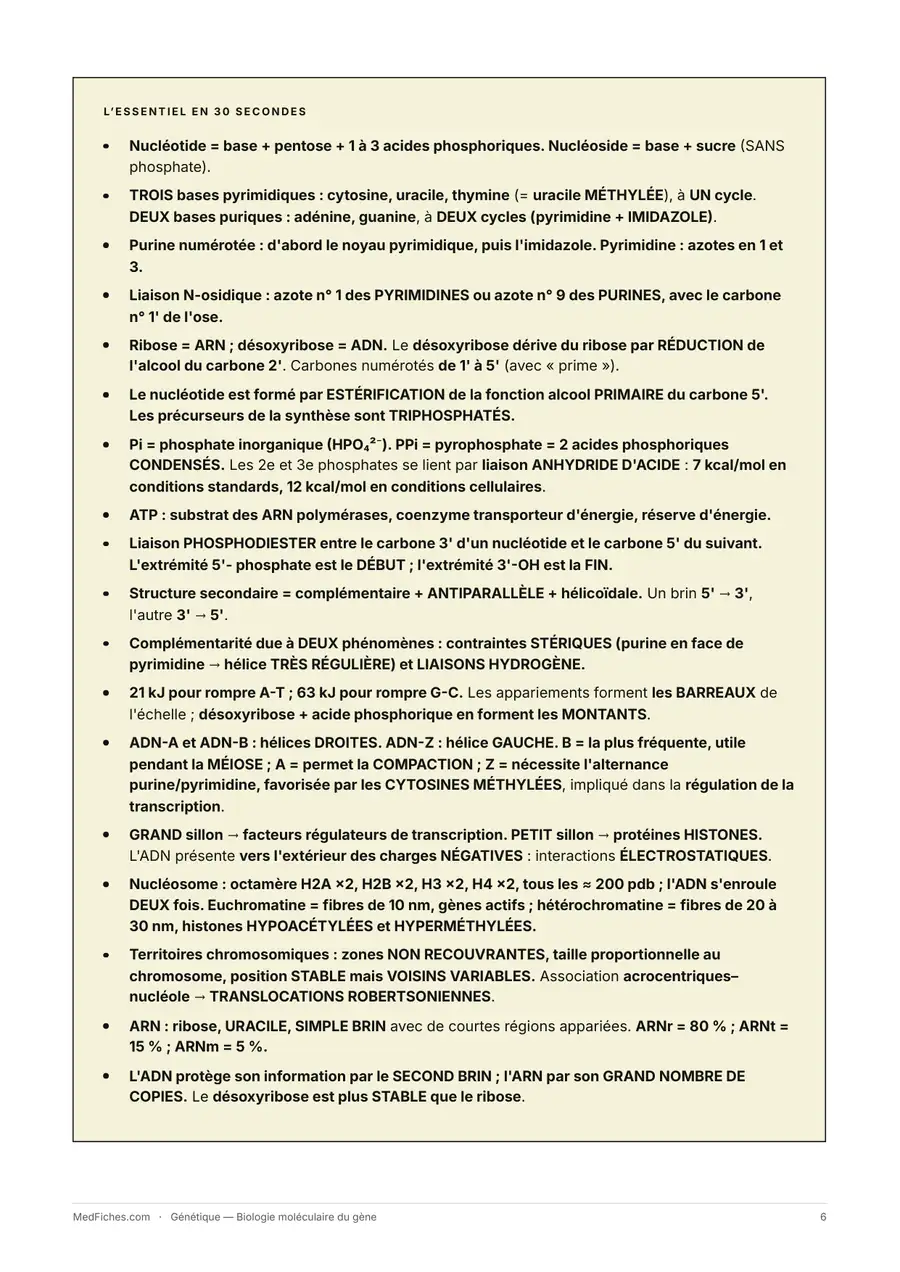 Génétique, Biologie moléculaire du gène, page 2