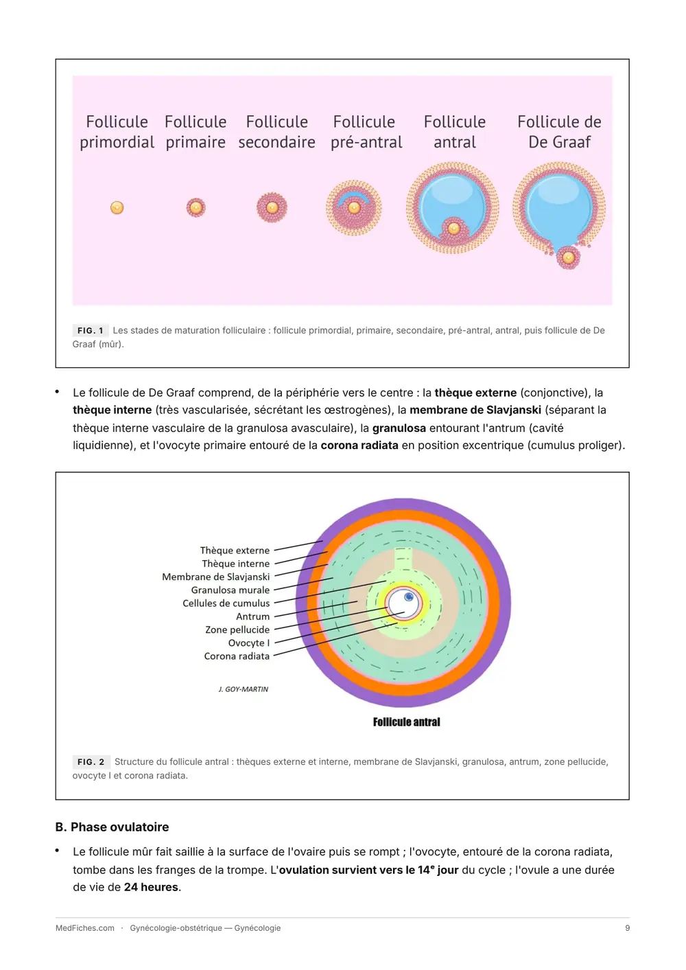 Gynécologie-obstétrique, Gynécologie, page 3