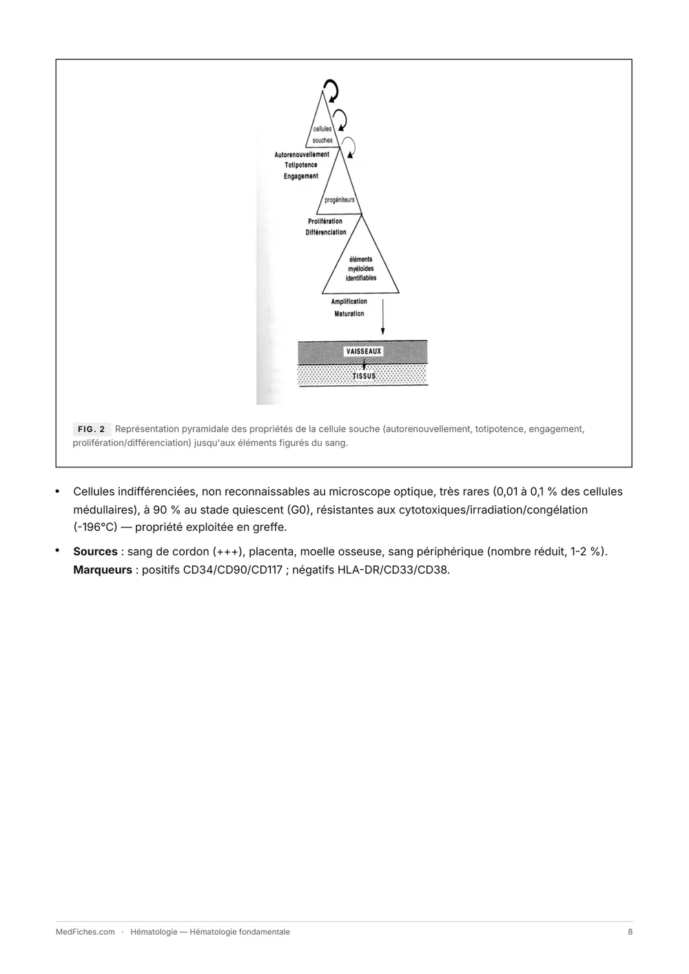 Hématologie, Hématologie fondamentale, page 3