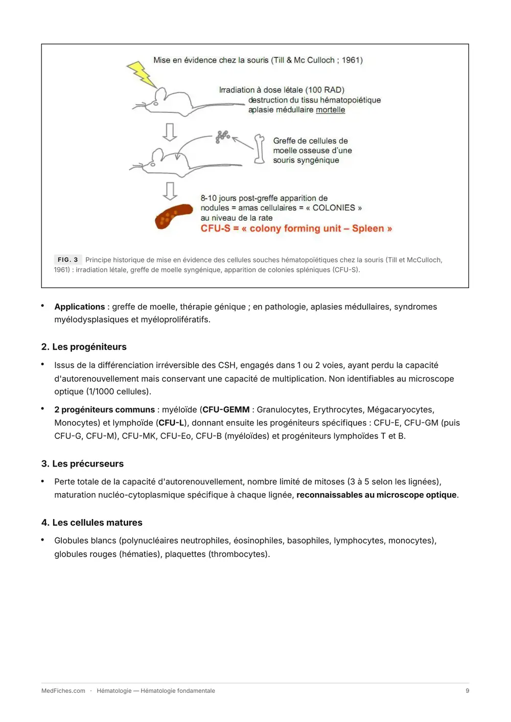Hématologie, Hématologie fondamentale, page 4