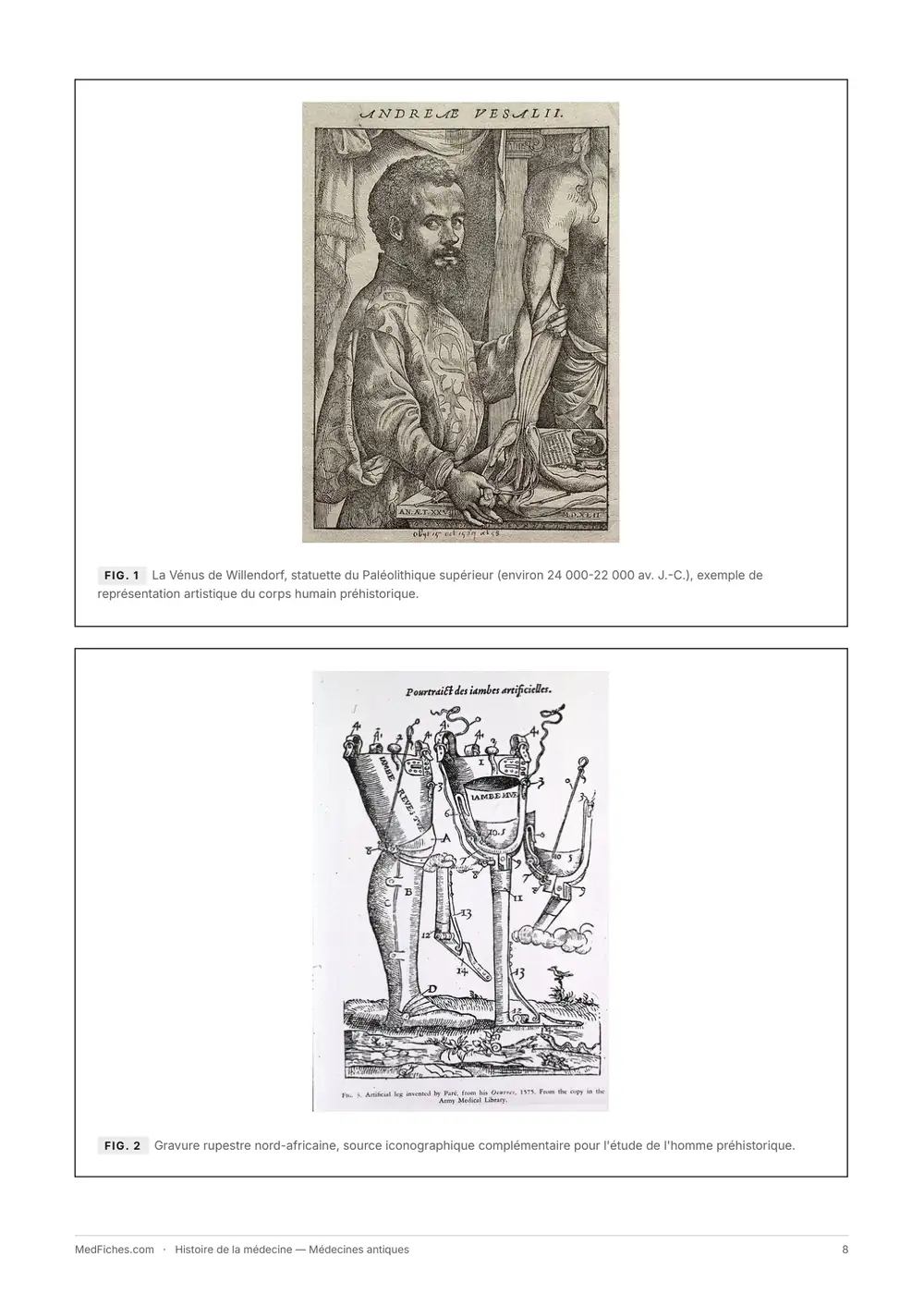 Histoire de la médecine, Médecines antiques, page 3