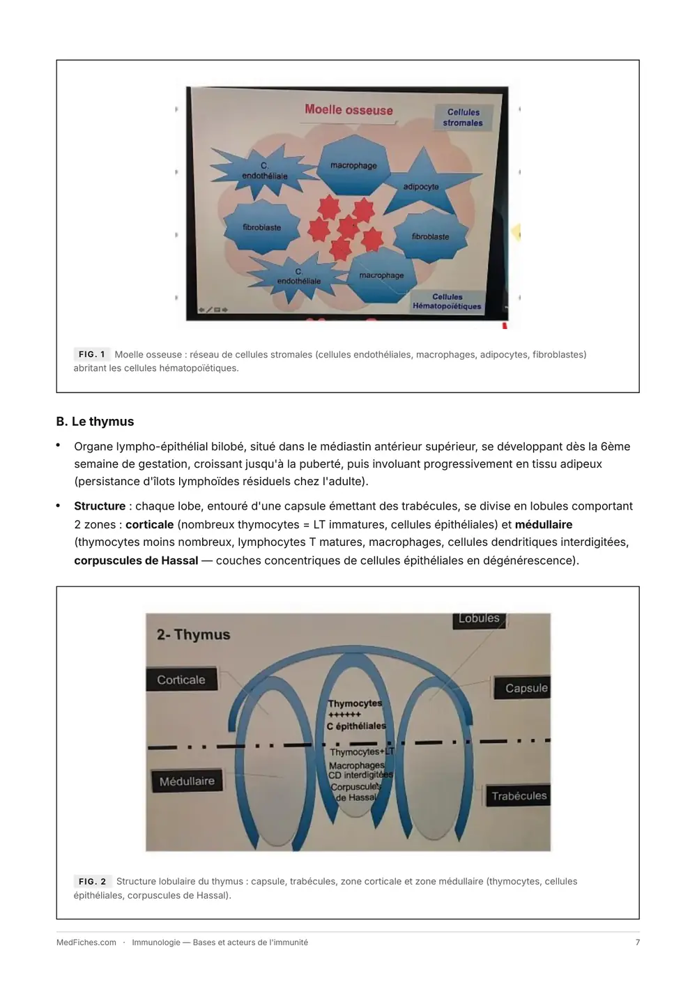 Immunologie, Bases et acteurs de l'immunité, page 3