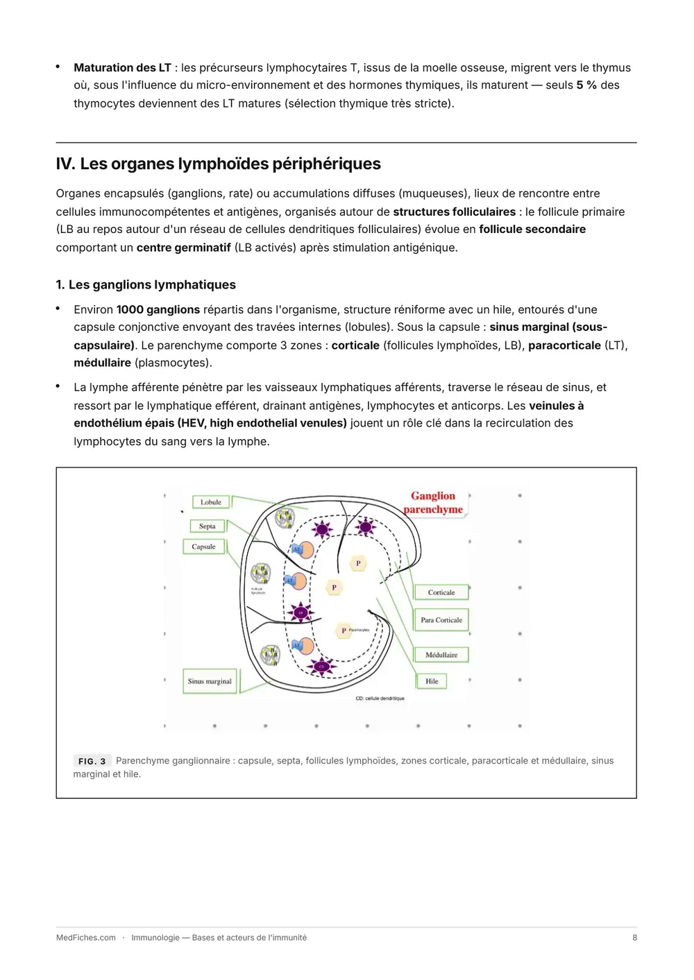Immunologie, Bases et acteurs de l'immunité, page 4