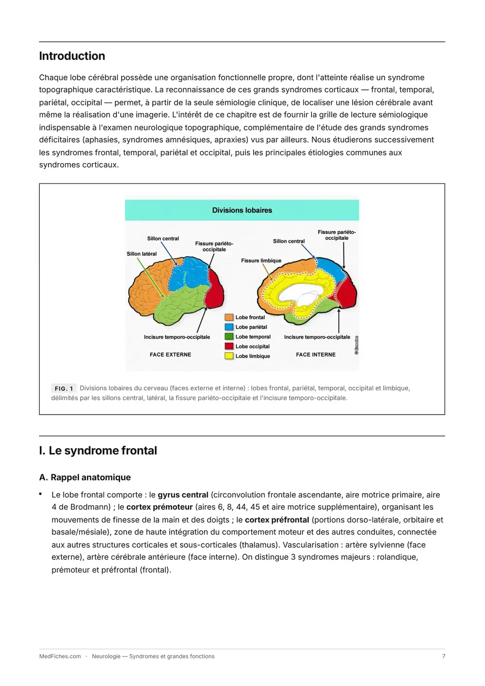Neurologie, Syndromes et grandes fonctions, page 2