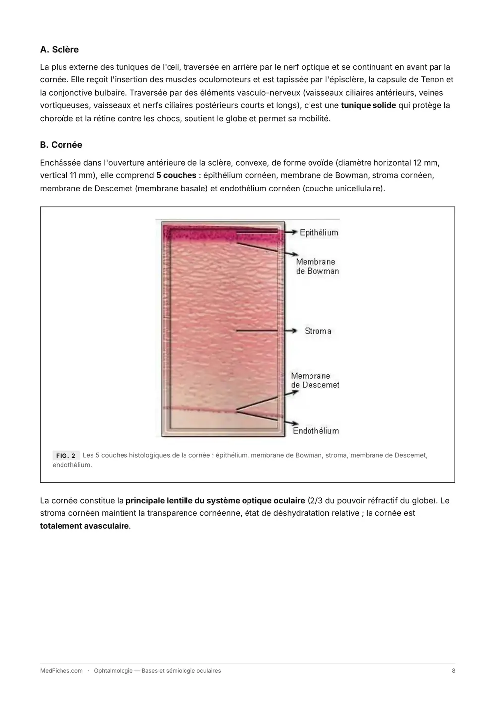 Ophtalmologie, Bases et sémiologie oculaires, page 3
