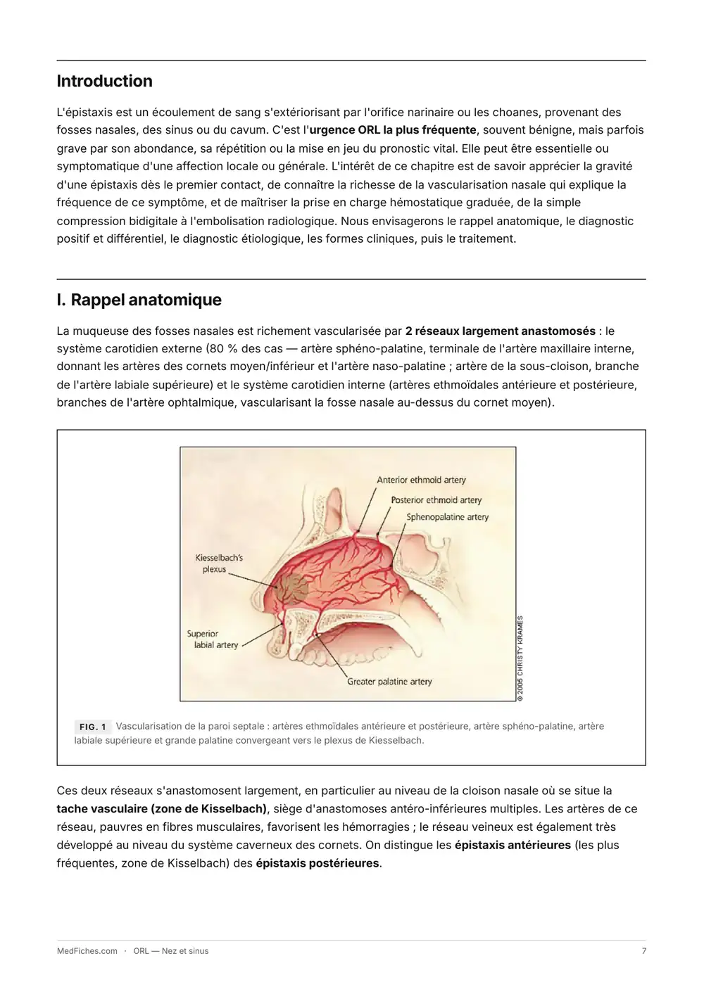 ORL, Nez et sinus, page 2