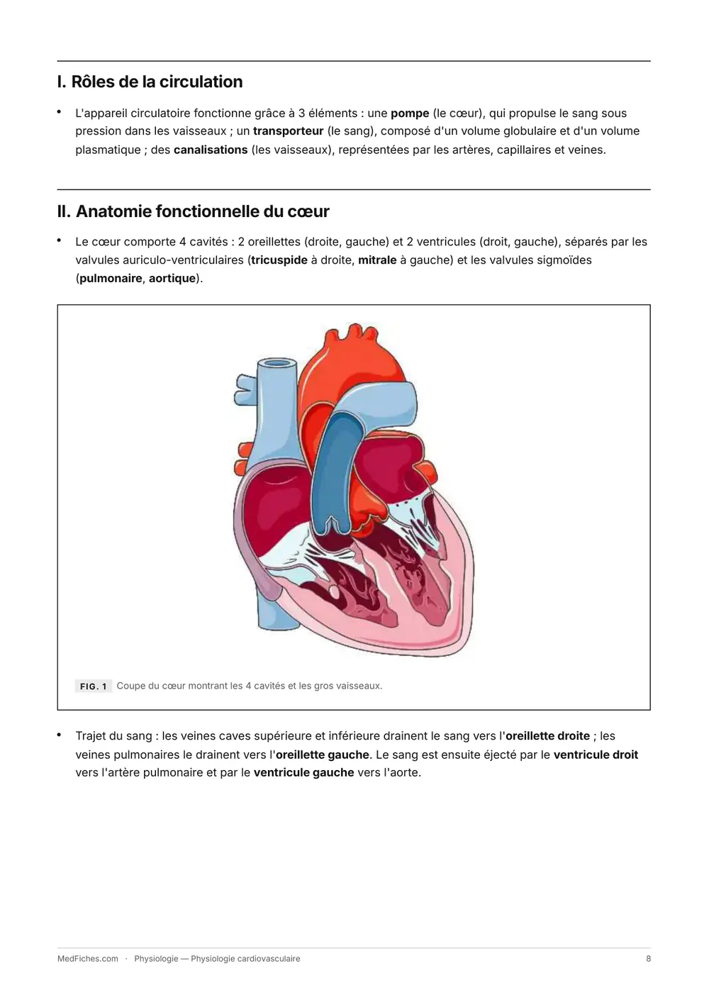 Physiologie, Physiologie cardiovasculaire, page 2
