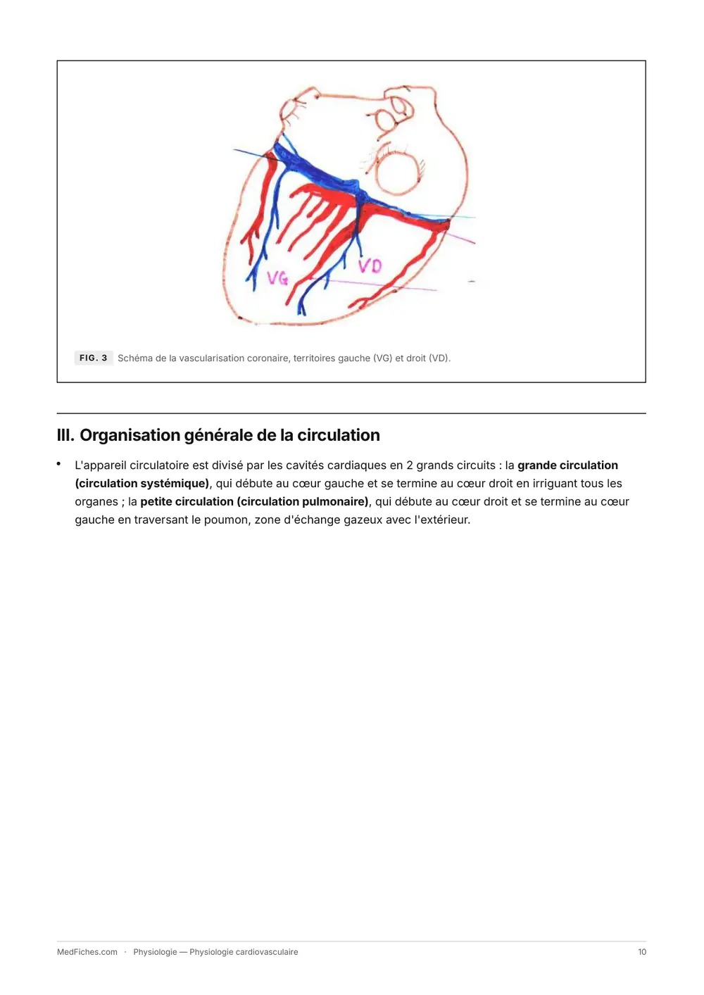 Physiologie, Physiologie cardiovasculaire, page 4