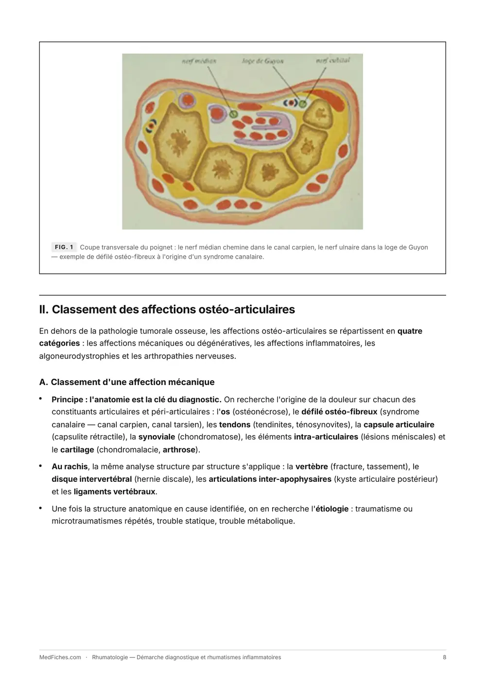 Rhumatologie, Démarche diagnostique et rhumatismes inflammatoires, page 4