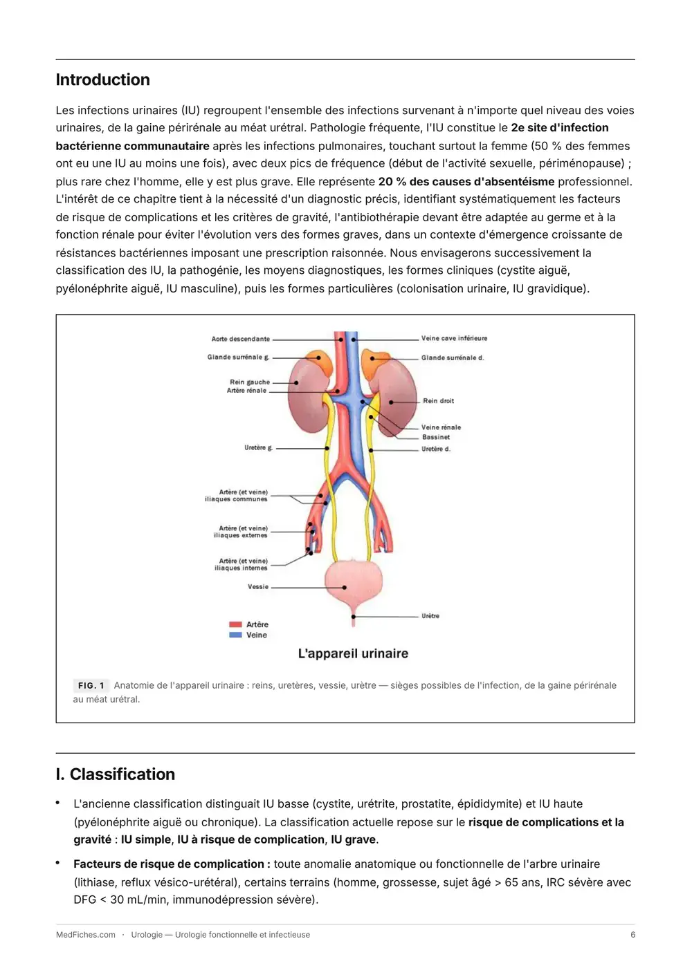 Urologie, Urologie fonctionnelle et infectieuse, page 2