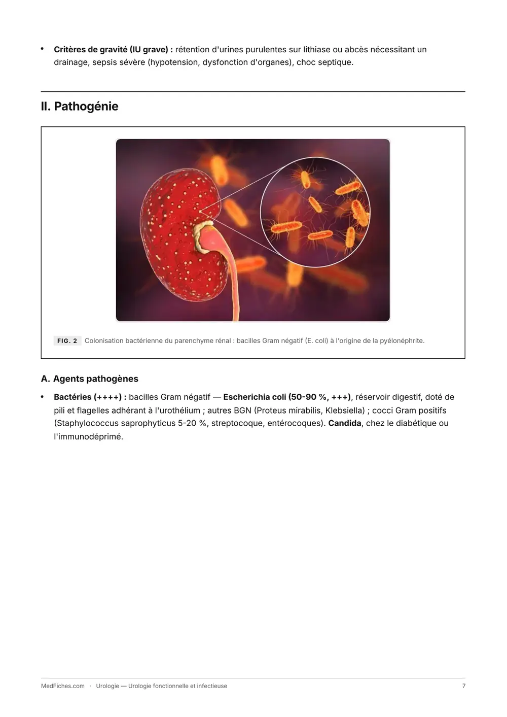 Urologie, Urologie fonctionnelle et infectieuse, page 3