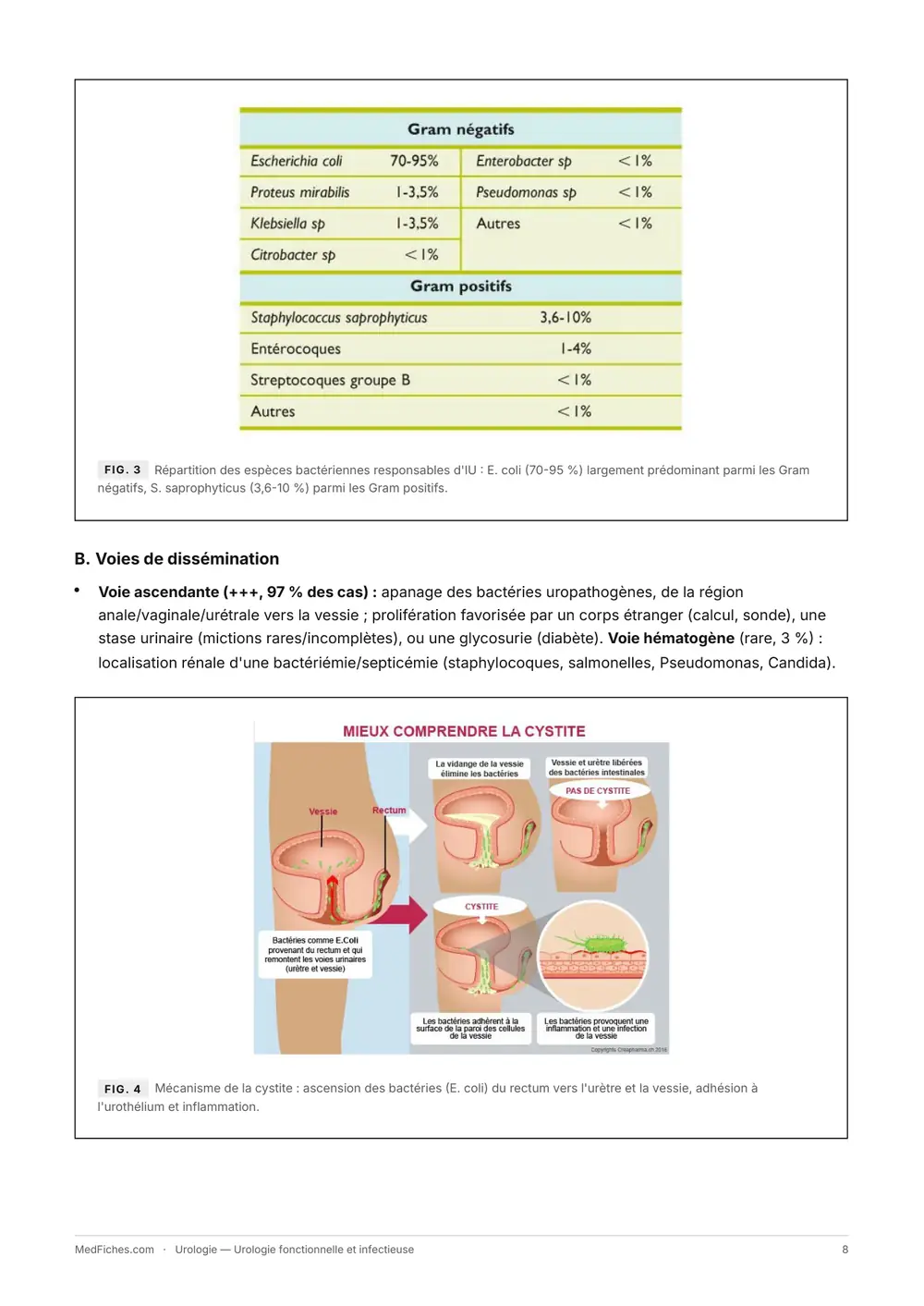 Urologie, Urologie fonctionnelle et infectieuse, page 4