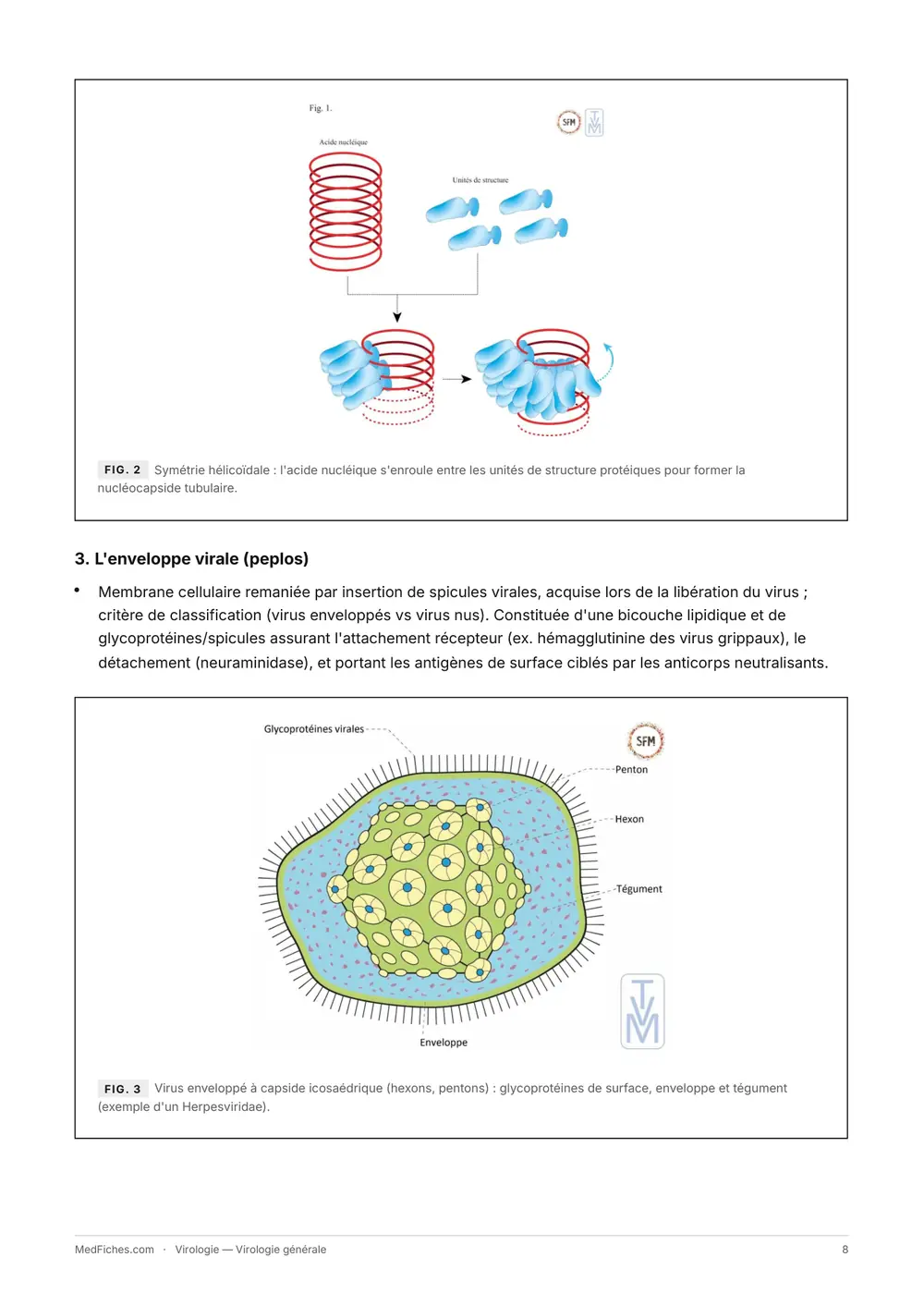 Virologie, Virologie générale, page 4